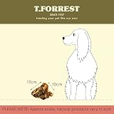 T. Forrest British Roasted Beef Knuckle Bones for Dogs 12 Pack view 5