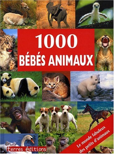 1000 bébés animaux by (Hardcover)