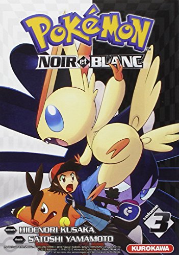 Pokémon noir et blanc