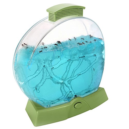 Educational Insights Geosafari Day 'N' Night Ant Factory N, Multicolor