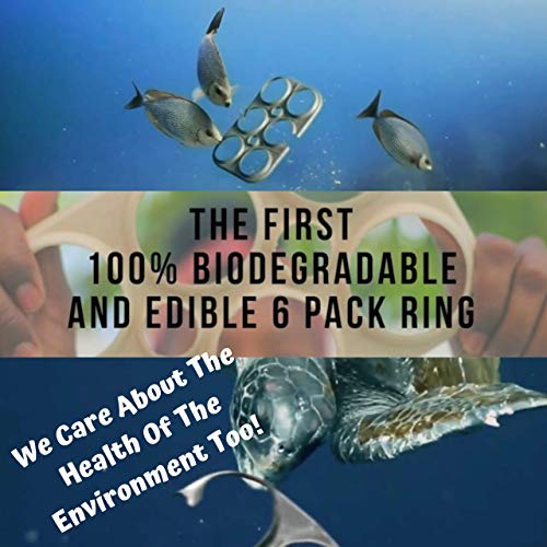 Tealixir Herbal Kombucha Tea Inspired By The Traditions Of Ayurveda