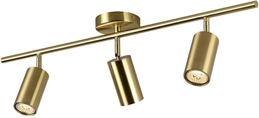 foco de riel nordico montado en