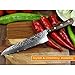 XINZUO Cutlery Damascus Chef Knife 8.5 Inch, Japanese VG10 Damascus Steel 210MM Gyutou Professional Chef's Knife Hammered Finish with Rosewood Handle - Yun Series