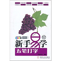 新手易学:五笔打字 (Chinese Edition) book cover 新手易学:五笔打字 (Chinese Edition) book cover