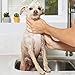 Paws & Pals Natural Oatmeal Dog Shampoo and Conditioner 2-in-1 Best for Cats & Dogs Dry Itchy Skin - Made in USA w/Medicated Clinical Vet Formula - Anti Itch Moisturizing Pet Soap for Sensitive Puppy