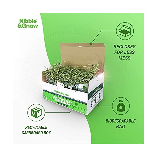 NibbleGnaw-Timothy-Hay-16Kg-Fresh-Green-Dust-Free-Long-Stem-Sun-Dried-Feeding-Hay-Rabbits-Guinea-Pigs-Hamsters-First-Cut-100-Natural-Food Nibble&Gnaw Timothy Hay 1.6Kg | Fresh, Green, Dust-Free, Long-Stem, Sun-Dried Feeding Hay | Rabbits, Guinea Pigs…