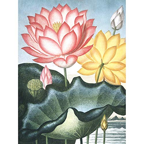 Wee Blue Coo Flowers Lotus Sacred Egyptian Bean Art Print Canvas Premium Wall Decor Poster