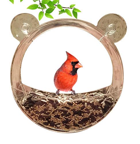 Amazon Com Clark Family Premium Clear Window Bird Feeder Clear