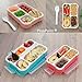 PlusPoint Bento Lunch Boxes (Multicolor, 4 Boxes Set)