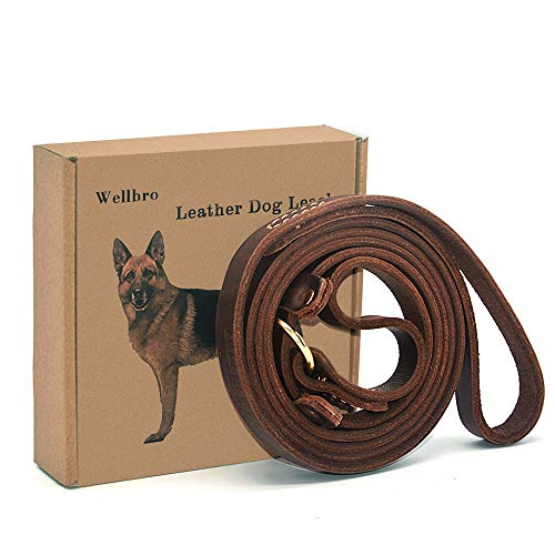 Wellbro Real Leather Slip Lead Dog Leash, Soft Adjustable Pet Slip