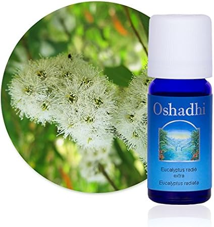 Amazon ユーカリ ラディアータ オーガニック Oshadhi オシャディ 精油 シングル エッセンシャルオイル シングルオイル ウェルネス アロマセラピー リラクゼーション プロ用 Oshadhi ボディオイル ボディジェル 通販