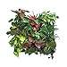 Amgate Vertical Wall Garden Planter 12 Pockets Wall-mounted Plant~ Large Size 24.4 in * 32 in ~ for Indoor/outdoorthumb 1