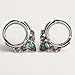 KUBOOZ(1 Pair Popular Sea-shell Stainless-steel Ear Plugs Tunnels Gauges Stretcher Piercings