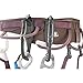 PETZL - CARITOOL EVO, Universal Tool Holder