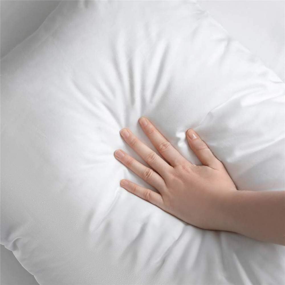 Plehoth Throw Pillow Insert (Pack of 2) 18x18 Square Form Cushion Indoor Decorative Pillows Sham Stuffer for Bed, Couch and Sofa: Home & Kitchen