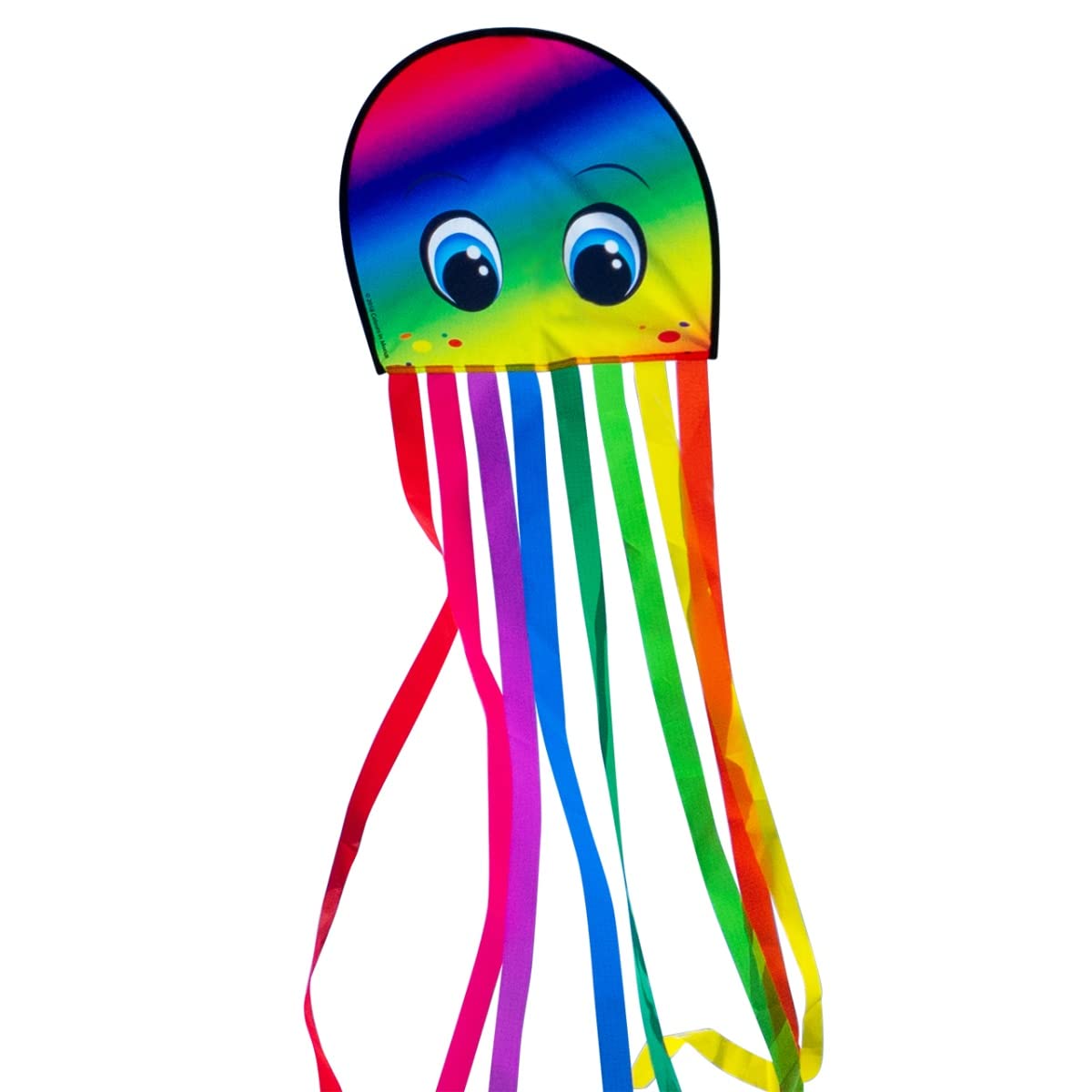CIM Octopus Draki - Single Line Kite for Children From 3 Years Old - Incl. Line (Rainbow XL)