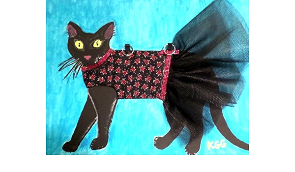 cat with tutu