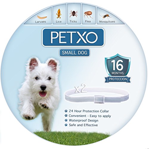 PETXO Dog Tick And Flea Collar. Fits Small to Medium Dogs. Pest Solution with Natural Oils.Waterproof and Adjustable 13Inches. Best Best Herbal Pest Prevention.