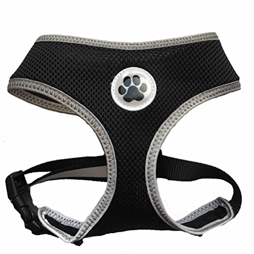 Black Mesh Soft Dog Harness No Pull Summer Pet Harnesses for Small Dogs, Medium Neck 12