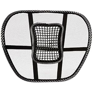 Flomaster Comfortable Back Rest with Lumbar Support (FLO_WOR_29)