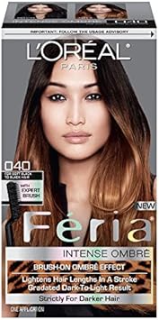 L'Oreal Paris Feria Brush-On Intense Ombre Effect Hair Color, 040 For Soft Black to Black Hair