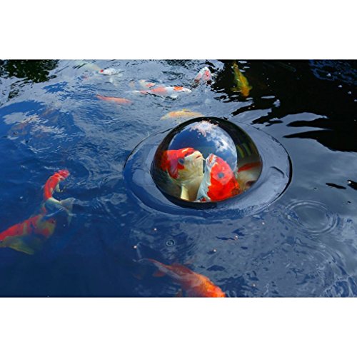 Patio, Lawn & Garden, Outdoor Décor, Water Gardens & Ponds