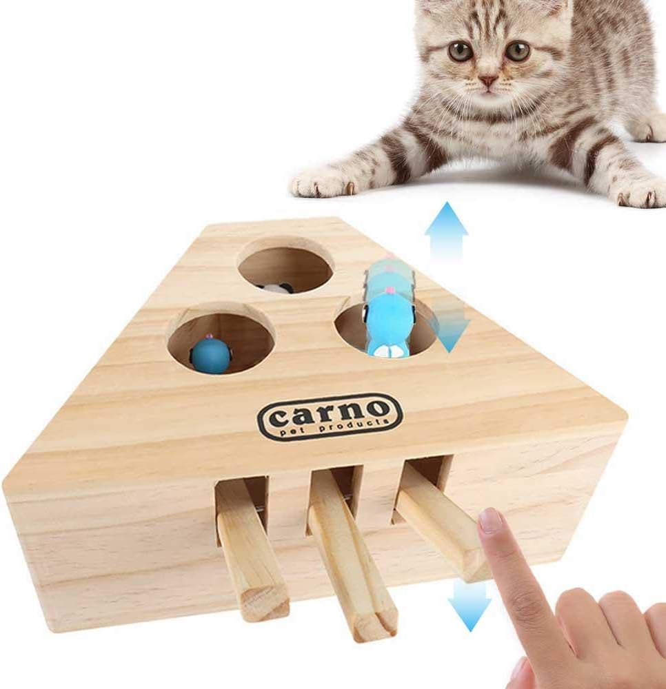 cat exercise toys