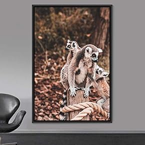 signwin Framed Canvas Wall Art Monkey Animals Expressive...