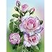 Lighthouse 5D Diamond Painting, Staron DIY Diamond Painting Rhinestone Painting Needlework Cross Stitch Stamped Counted Kit 5D Diamond Painting Embroidery Art Home Wall Decor (Flower)