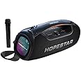 100W Portable Wireless Bluetooth Speaker with Handle and 1 Microphone, Stereo Audio Hopestar Series (Black)
