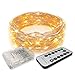 RTGS 60 LEDs String Lights Battery Operated on 20 Feet Long Silver Color Wire, Indoor and Outdoor with Waterproof Battery Box and Timer (Warm White Remote Control Functions)