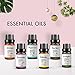 USDA Organic Essential Oils (Set of 6 10 ml) Natural Aromatherapy for Diffuser | Therapeutic Stress Relief & Relaxation Mothers Day Gift Set | Lavender Peppermint Tea Tree Lemon Orange Eucalyptus