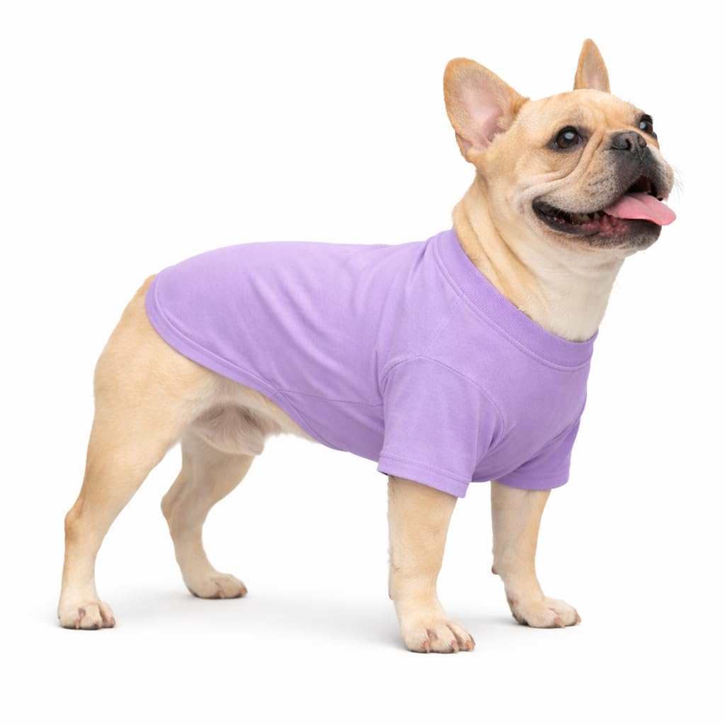 LoveLongLong French Bulldog & English Bulldog T-Shirts, 100% Cotton, Violet B-M