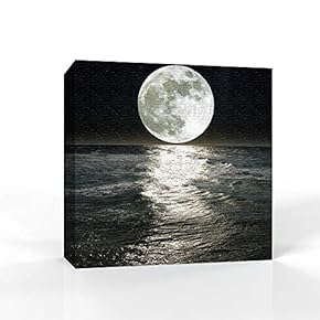 Moon Illuminating The Blue Ocean Home Artwork for...
