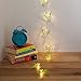 20 Cactus Battery Operated Indoor LED Party String Lights