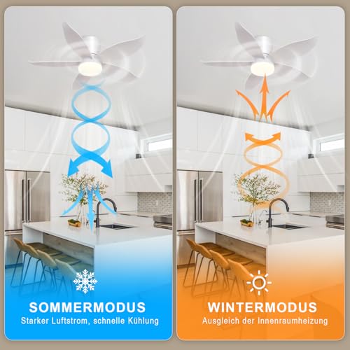 Homefire Ventilador de techo luz - Ventilador de techo silencioso con luz, 5 aspas, blanco, brillo ajustable, 6 velocidades