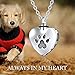 WINNICACA Pet Urn Keepsake Necklace Sterling Silver Heart Cremation Urn Necklaces for Ashes for Dog Cat Paw w/Funnel Filler Kit