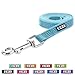 Pawtitas 6 FT Dog Leash - Reflective, Comfortable Handle, Heavy Duty Training Leash, Small Dog, Teal
