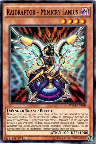 Yu-Gi-Oh! - Raidraptor - Mimicry Lanius - WIRA-EN020 - Common - 1st Edition (WIRA-EN020) - Wing Raiders - 1st Edition - Common