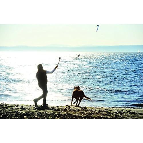 Chuckit! Launcher Pet Supplies, Dogs, Toys, Ball Launchers