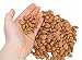 Apricot Kernels/Seeds (1 Pound / 454 grams) Hunza Gold Bitter Certified Organic Raw