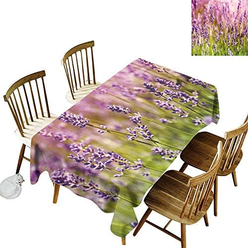kangkaishi Lavender Easy to Care for Leakproof and Durable Long tablecloths Outdoor Picnic Flourishing Rural Yard Fragrant Gardening Plants Botany Farm Organic Flora W60 x L84 Inch Lilac Lime Green