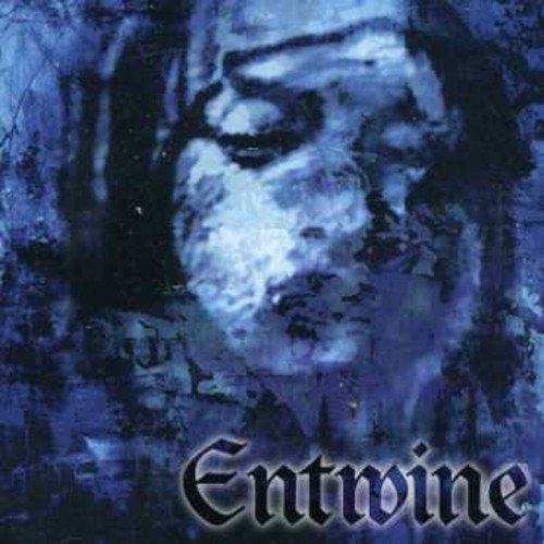 Entwine - Enjoy The Silence Lyrics - Zortam Music