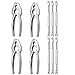 iRunning 10 Pieces Seafood Tools Nut Cracker Set with 4 Heavy Duty Lobster Crab Crackers and 6 Seafood Forks
