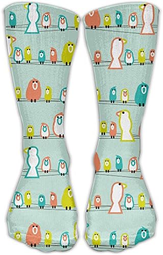 Dxc7fgPA Bird On The Telephone Pole Pattern Novelty Funny Women's Dress 11.8" Socks