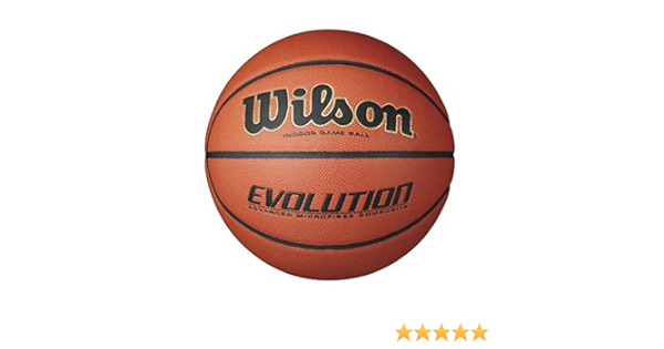 wilson evolution basketball target