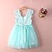 Elegant Feast Baby Girls Princess Lace Flower Tulle Tutu Gown Formal Party Dress (1-2 Years, Blue)