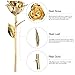 DEFAITH Real Rose 24K Gold Dipped, Forever Gifts for Her Valentines Day Anniversary Wedding and Proposal - King Gold with Acrylic Moon Stand