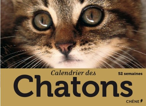 Calendrier Des Chatons 52 Semaines Amazon Com Books
