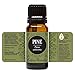 Edens Garden Pine- Scots Essential Oil- 100% Pure Premium Grade, Undiluted, Natural, Therapeutic, Aromatherapy, The Best for Diffuser, Candle, Humidifiers, Kid Safe 10 ml (.33 fl oz)